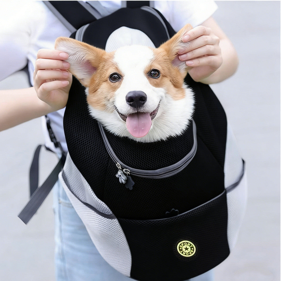Sac a dos chien - vue 6