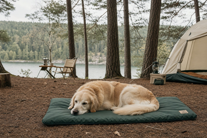 Matelas chien imperméable antidérapant — scène outdoor
