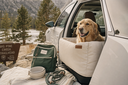 Bundle voyage avec chien en scène extérieur